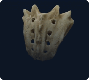 Aplikacja myBody VR - UCZELNIA - obrazek 2