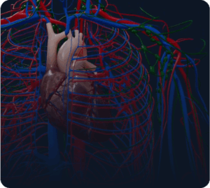 Aplikacja myBody VR - UCZELNIA - obrazek 4