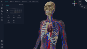 Aplikacja myBody VR - Student