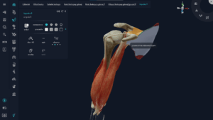 Aplikacja myBody VR - Student - Image 3