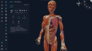 Aplikacja myBody VR - Student - Image 4