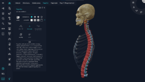 Aplikacja myBody VR - Student - Image 5