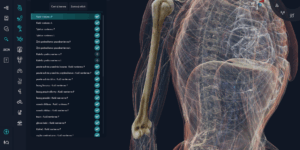 Aplikacja myBody VR - UCZELNIA