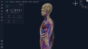 Aplikacja myBody VR - UCZELNIA - Image 2