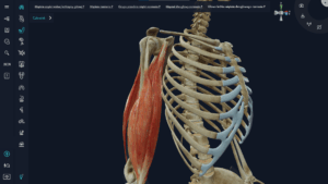 Aplikacja myBody VR - UCZELNIA - Image 3