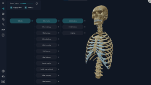 Aplikacja myBody VR - UCZELNIA - Image 5
